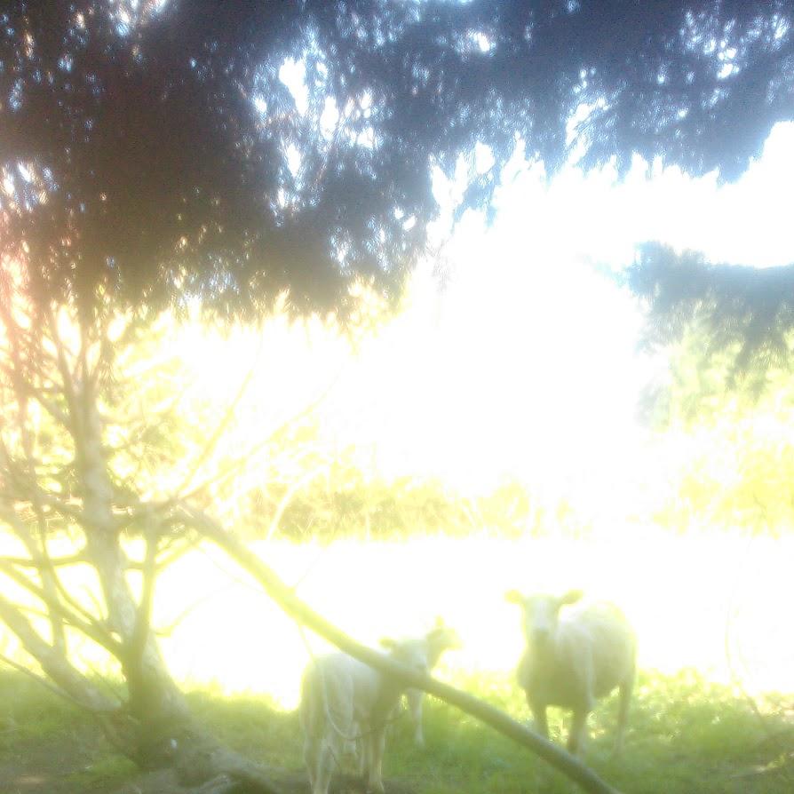 Restaurant "Zur Linde" in Brunsbüttel