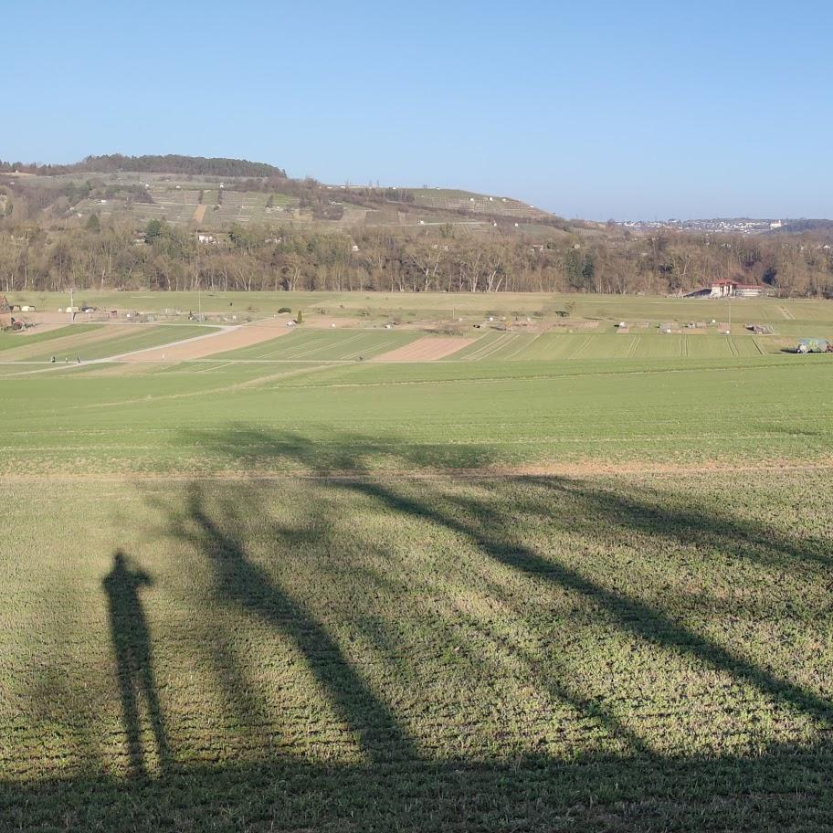 Restaurant "Im Krug zum grünen Kranze - Ralf u. Cornelia Braun" in Mühlacker