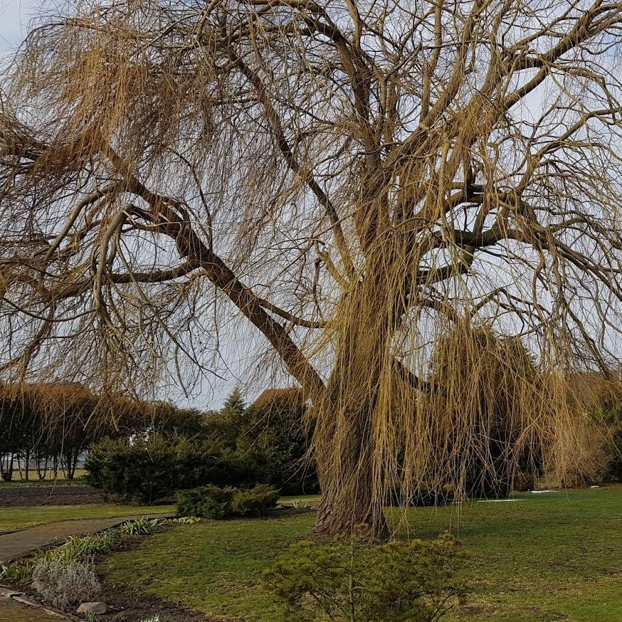 Restaurant "Sporthotel Wallwitz" in Zerbst-Anhalt