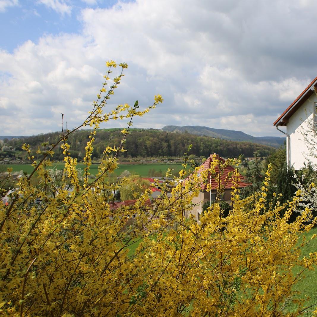 Restaurant "Hotel Waldblick - Frank Achtert" in Treffurt