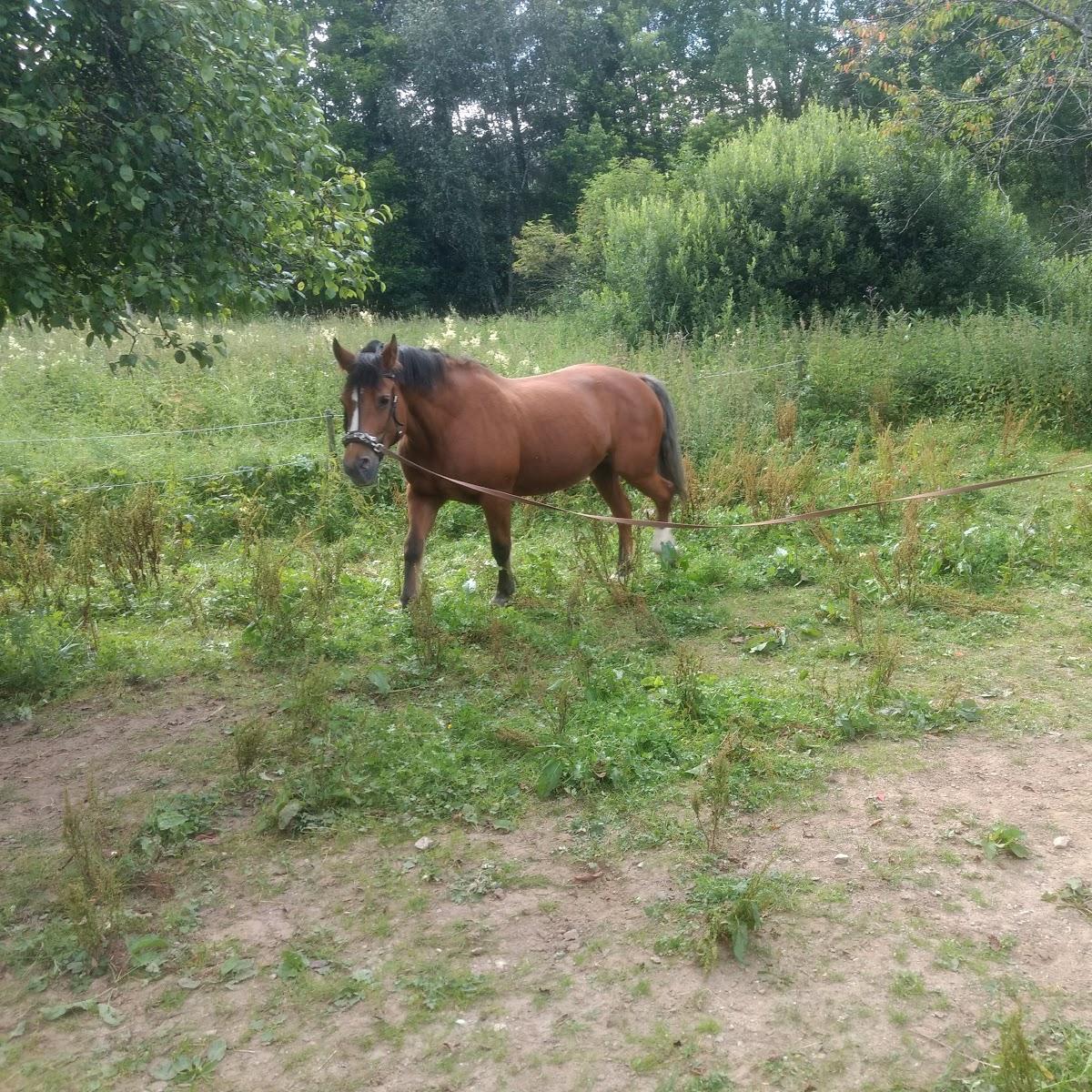 Restaurant "Hotzenhof" in Herrischried