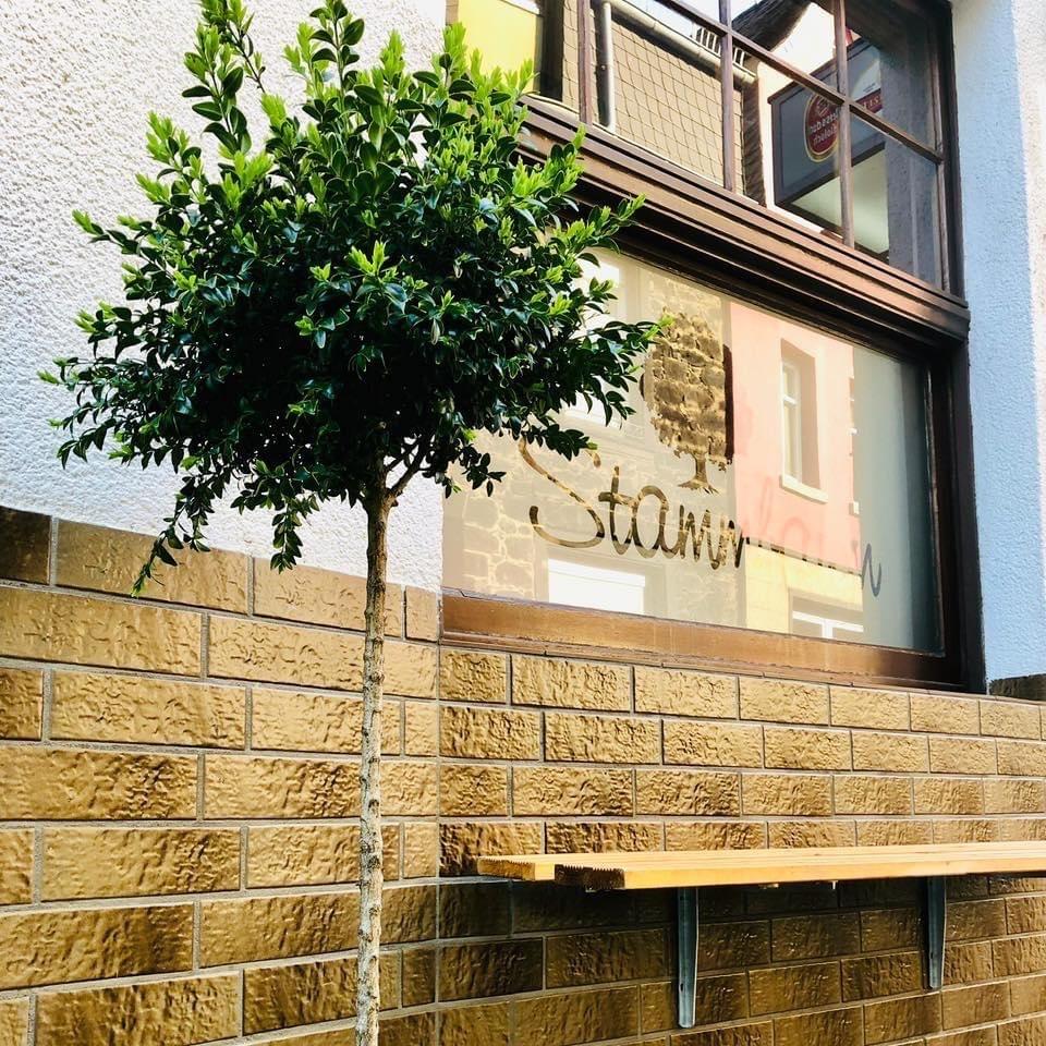 Restaurant "Gasthaus Stammbaum" in Andernach