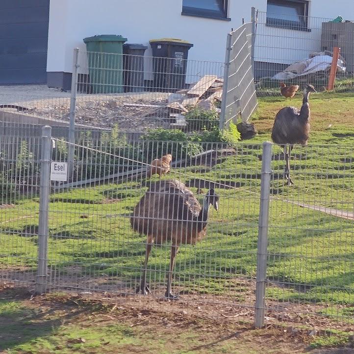 Restaurant "Gasthof Adler Inh. Udo Großhardt" in Hüfingen