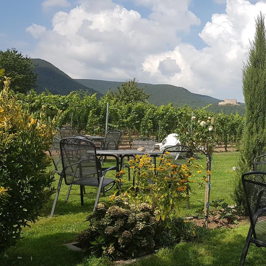 Restaurant "Winzerhof Ernst GbR" in Maikammer