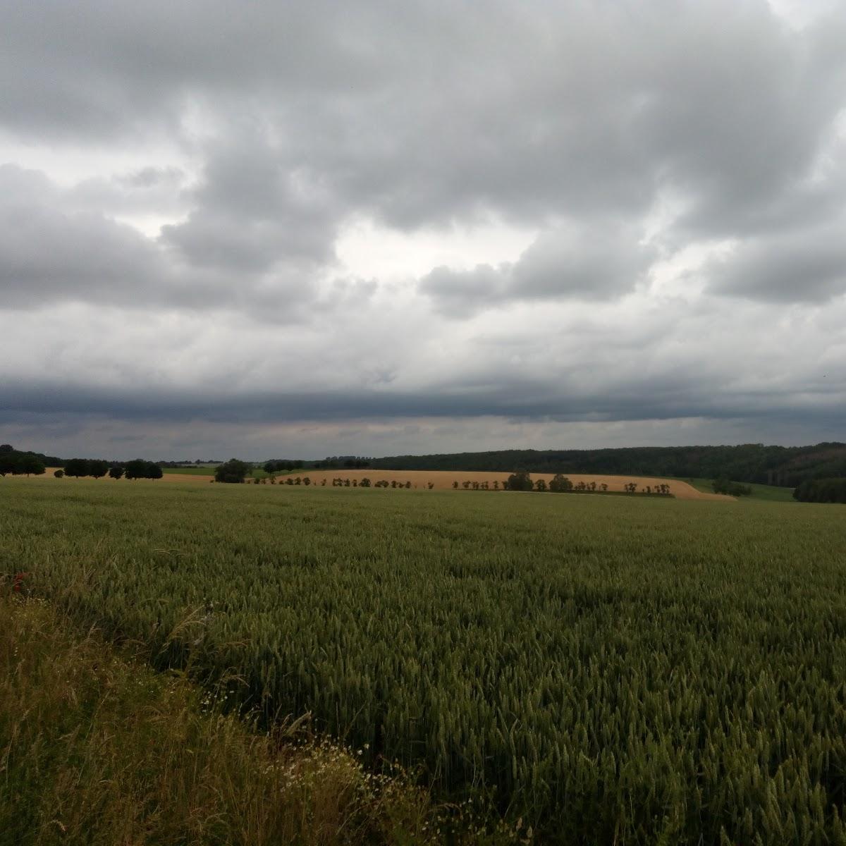 Restaurant "Restaurant Wernys" in Borchen