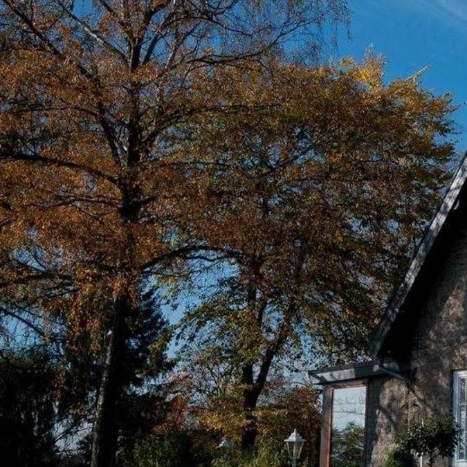 Restaurant "Hotel-Café  Schauinsland " in Horn-Bad Meinberg