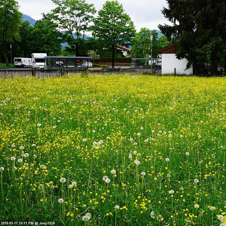 Restaurant "Ammergauer Haus" in Oberammergau