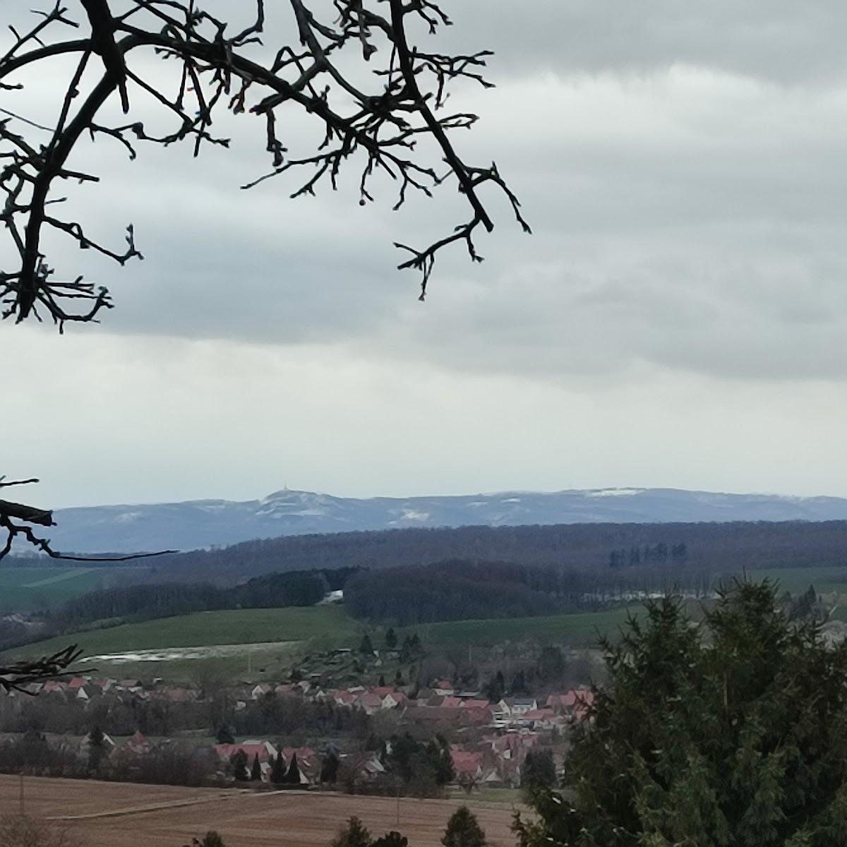 Restaurant "Cafe-Restaurant  Waldhaus Japan " in Bleicherode