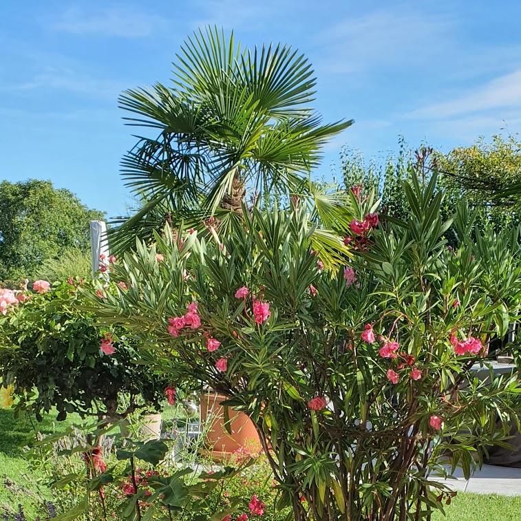 Restaurant "Gästehaus Seefried" in Rennertshofen