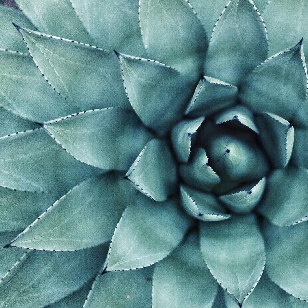 Restaurant "Gesundheits- und Wohlfühlzentrum Matz" in Sulzdorf an der Lederhecke
