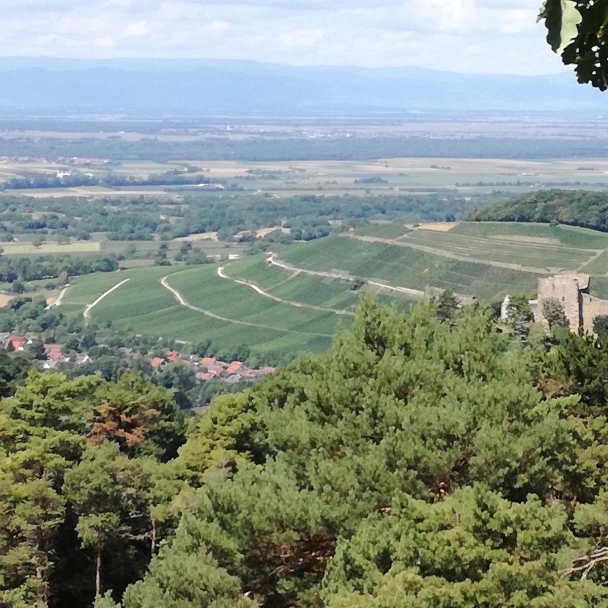 Restaurant "Ingrid" in Kleines Wiesental