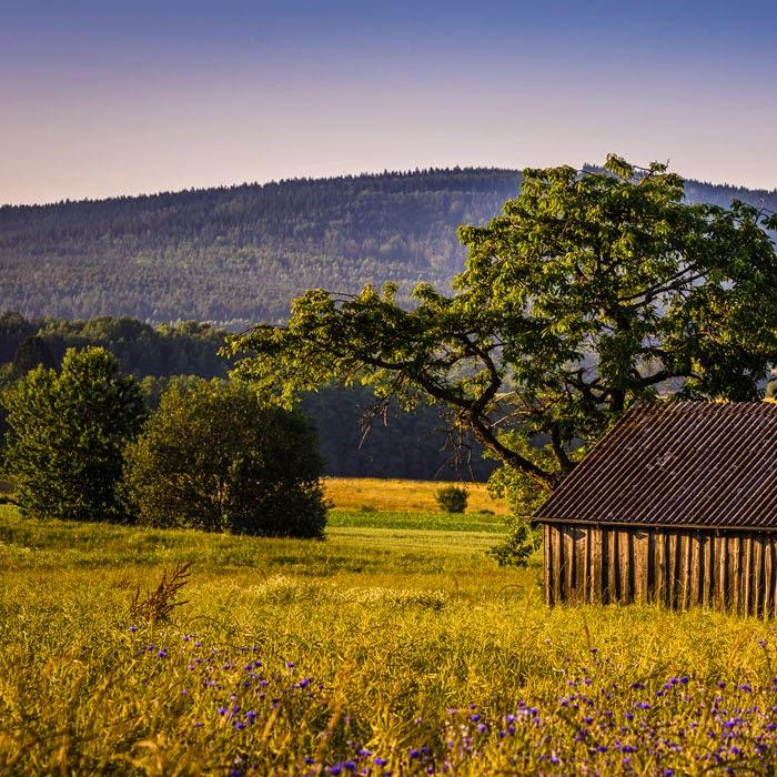Restaurant "Hollerhöfe - Zu Gast im Dorf" in Kemnath