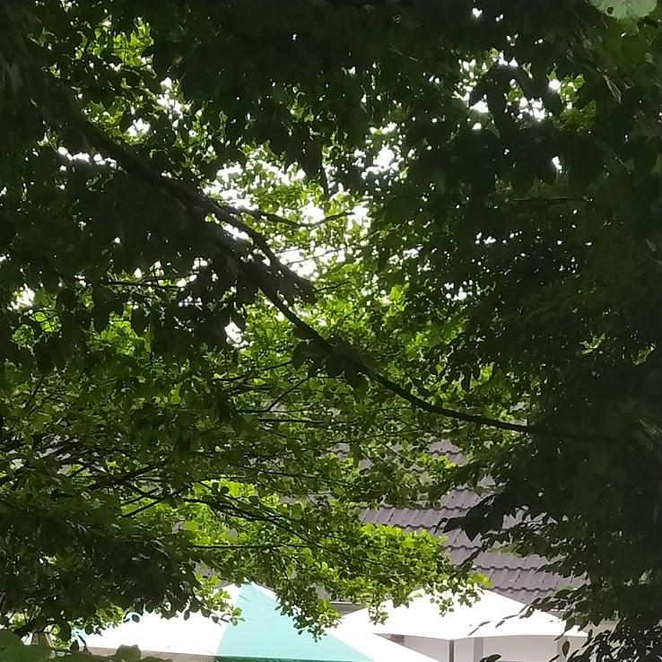 Restaurant "Die Mühle" in Wipperfürth