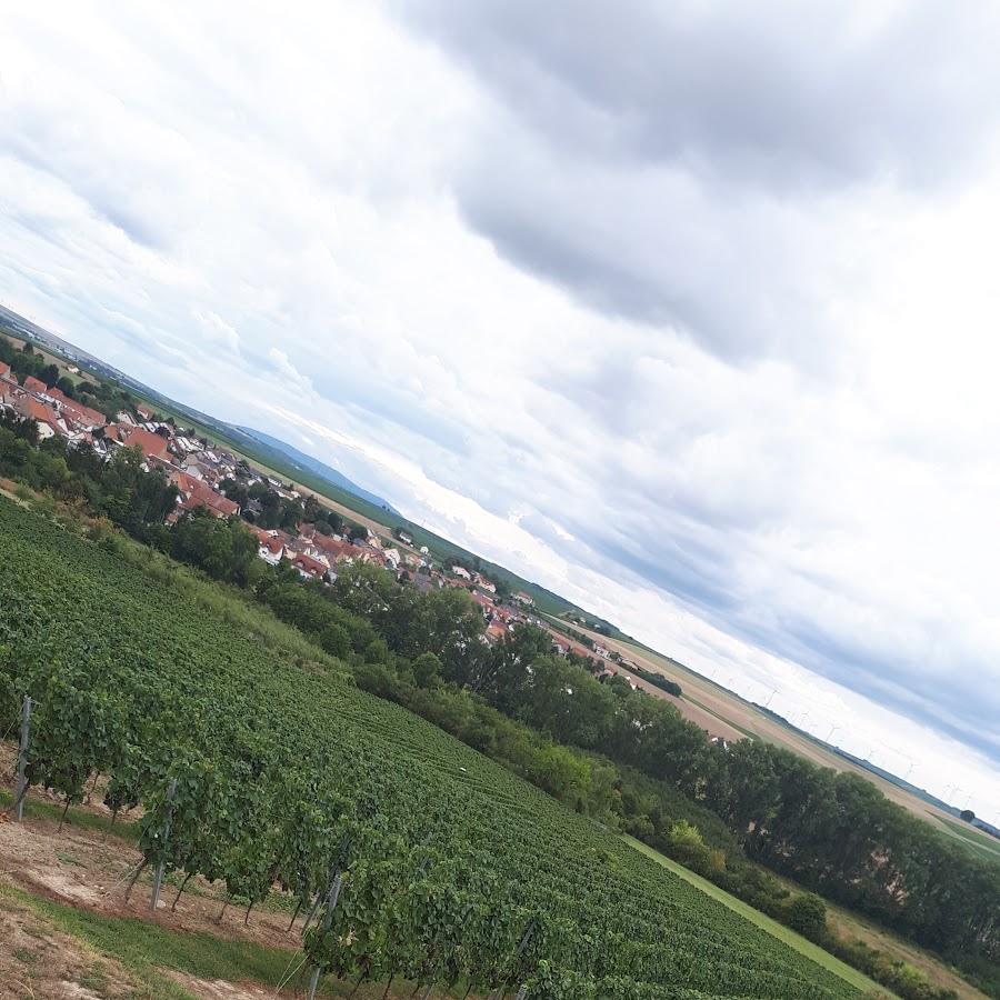 Restaurant "Dart und Billard Cafe" in Gau-Odernheim