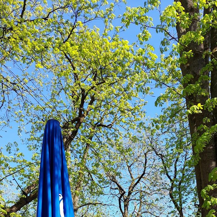 Restaurant "Augustiner Biergarten" in Rottenburg an der Laaber