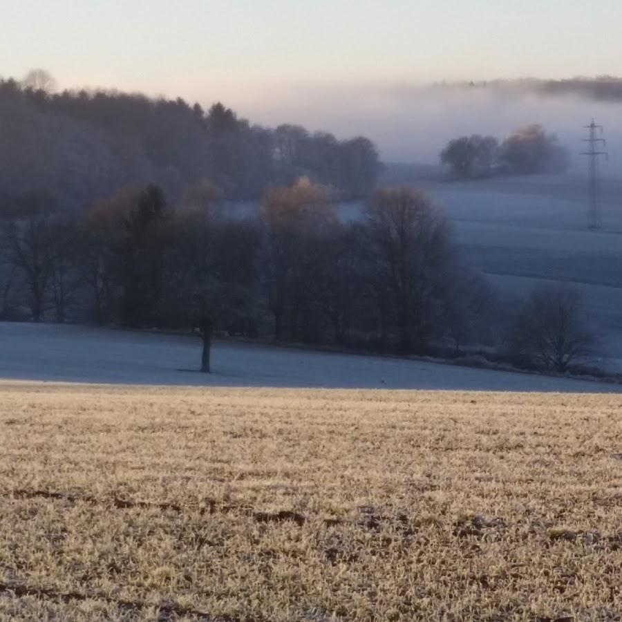 Restaurant "Sporthalle, Dorfgemeinschaftshaus" in Gemmerich