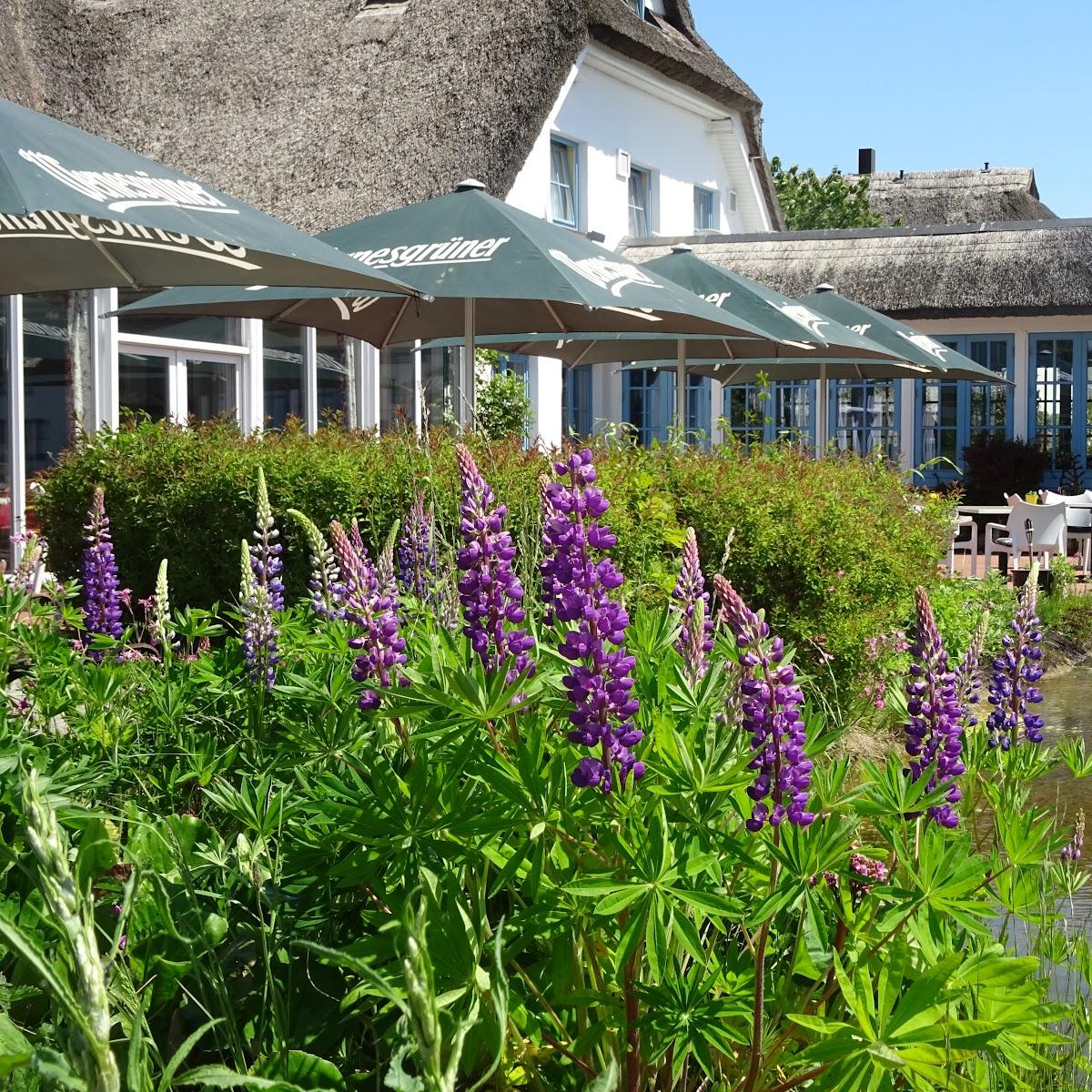 Restaurant "Hotel & Restaurant Wreecher Hof" in Putbus