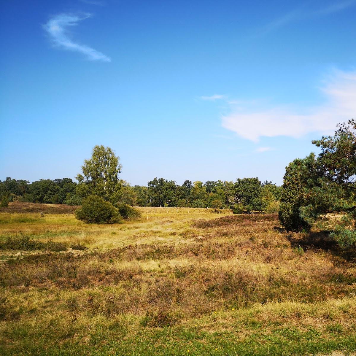 Restaurant "Bernd Inselmann Gaststätte und Pension" in Undeloh