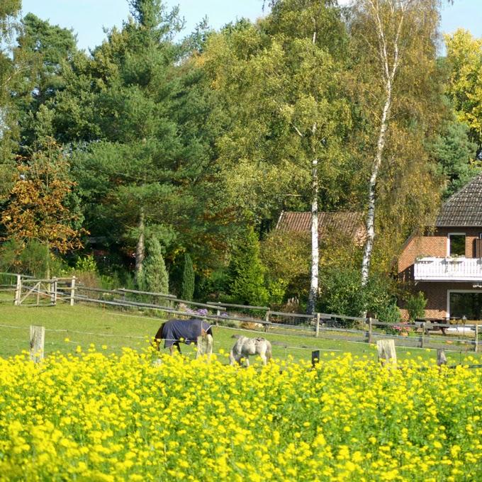 Restaurant "Landhaus Calluna" in Undeloh