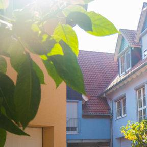 Restaurant "Pension Am Schlossberg" in Reichenberg