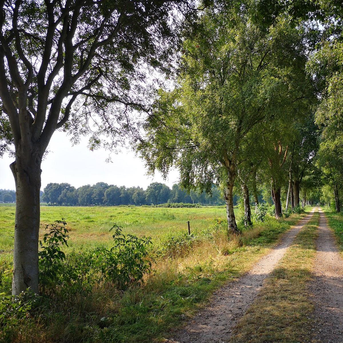 Restaurant "burgdorfparty GmbH" in Hude