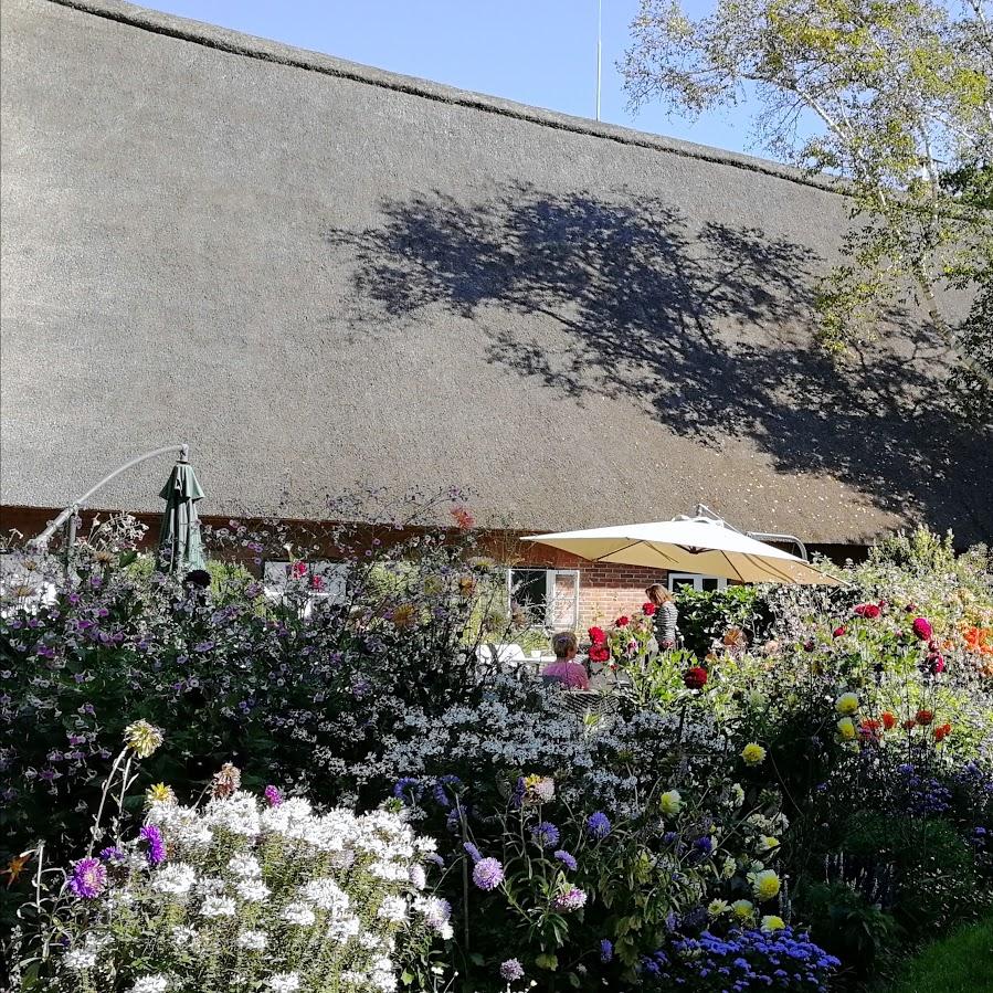 Restaurant "Café im Münsterhof am Arboretum" in Ellerhoop