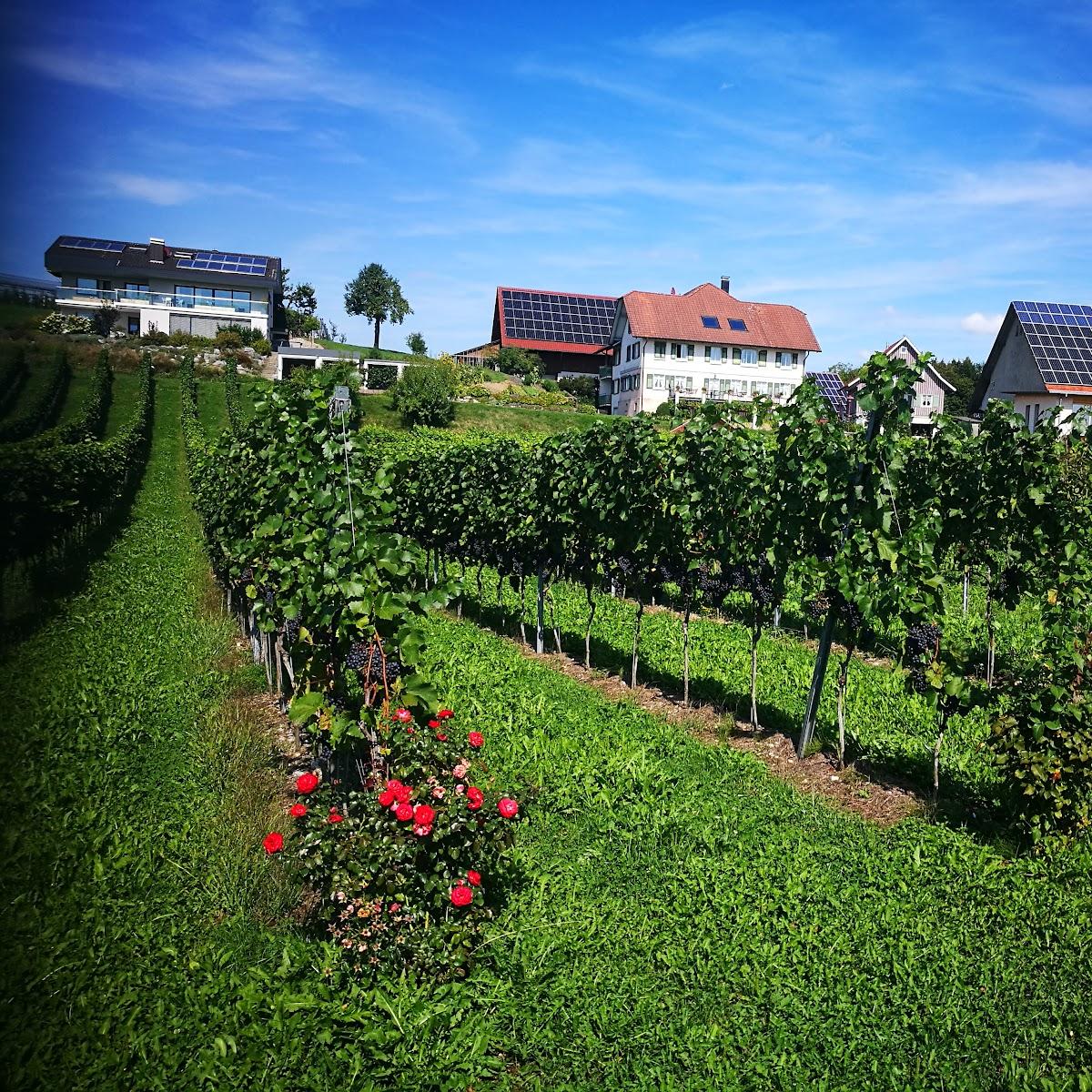 Restaurant "Frohe Aussicht E. u. Ch. Günthör" in Kressbronn am Bodensee