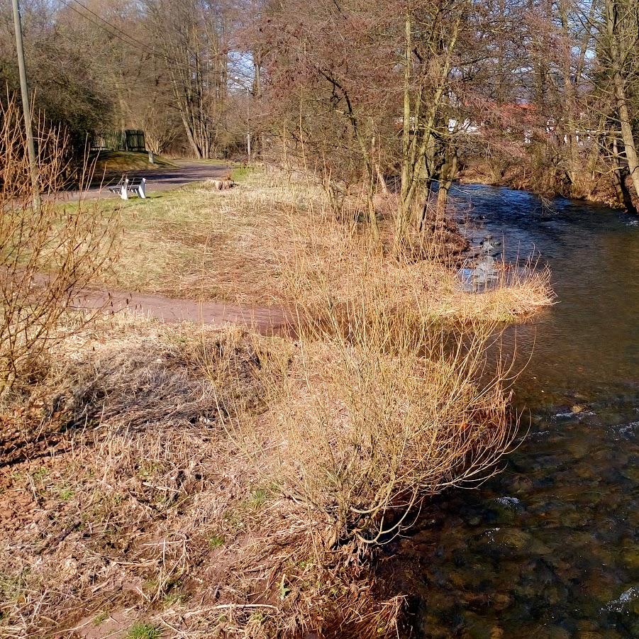 Restaurant "Pension Cafe am Mühlberg" in Harztor