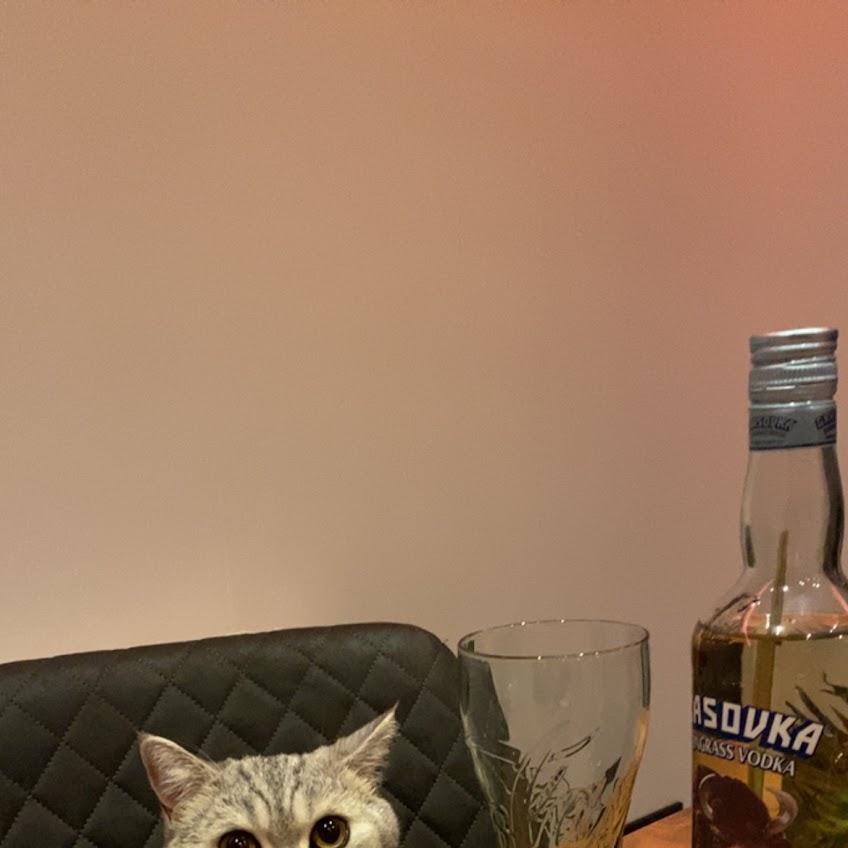 Restaurant "Diskotheka El Brando" in Risum-Lindholm