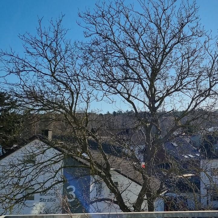 Restaurant "Pension Landhaus Holzweiler" in Grafschaft