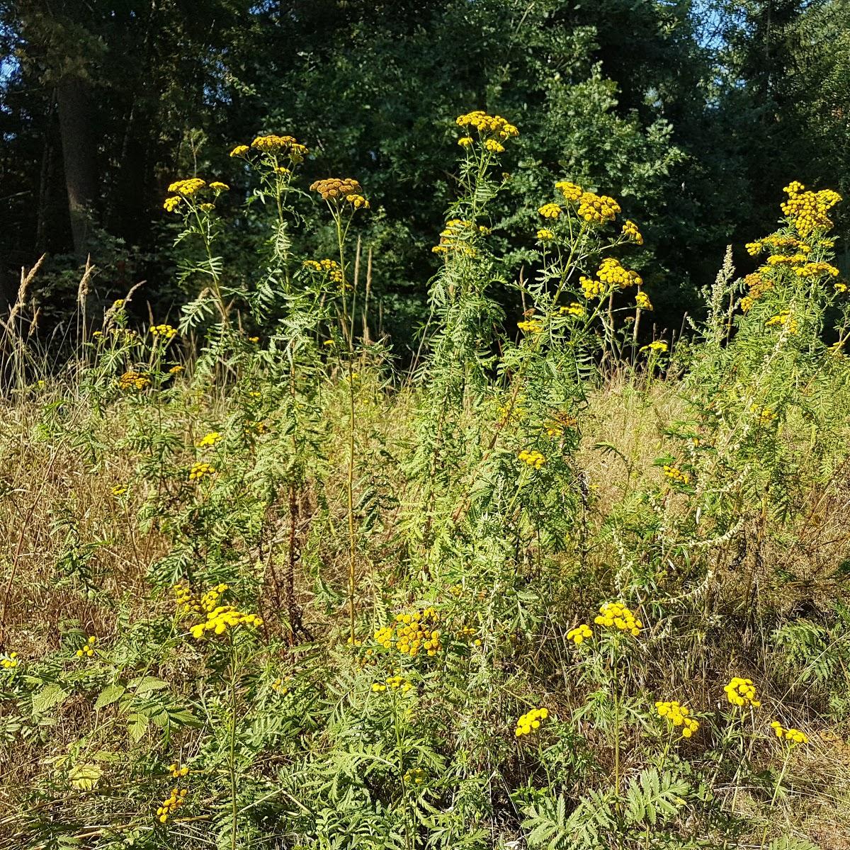 Restaurant "Gleiwitzer-Bistro-Betriebs GmbH" in Stadtallendorf