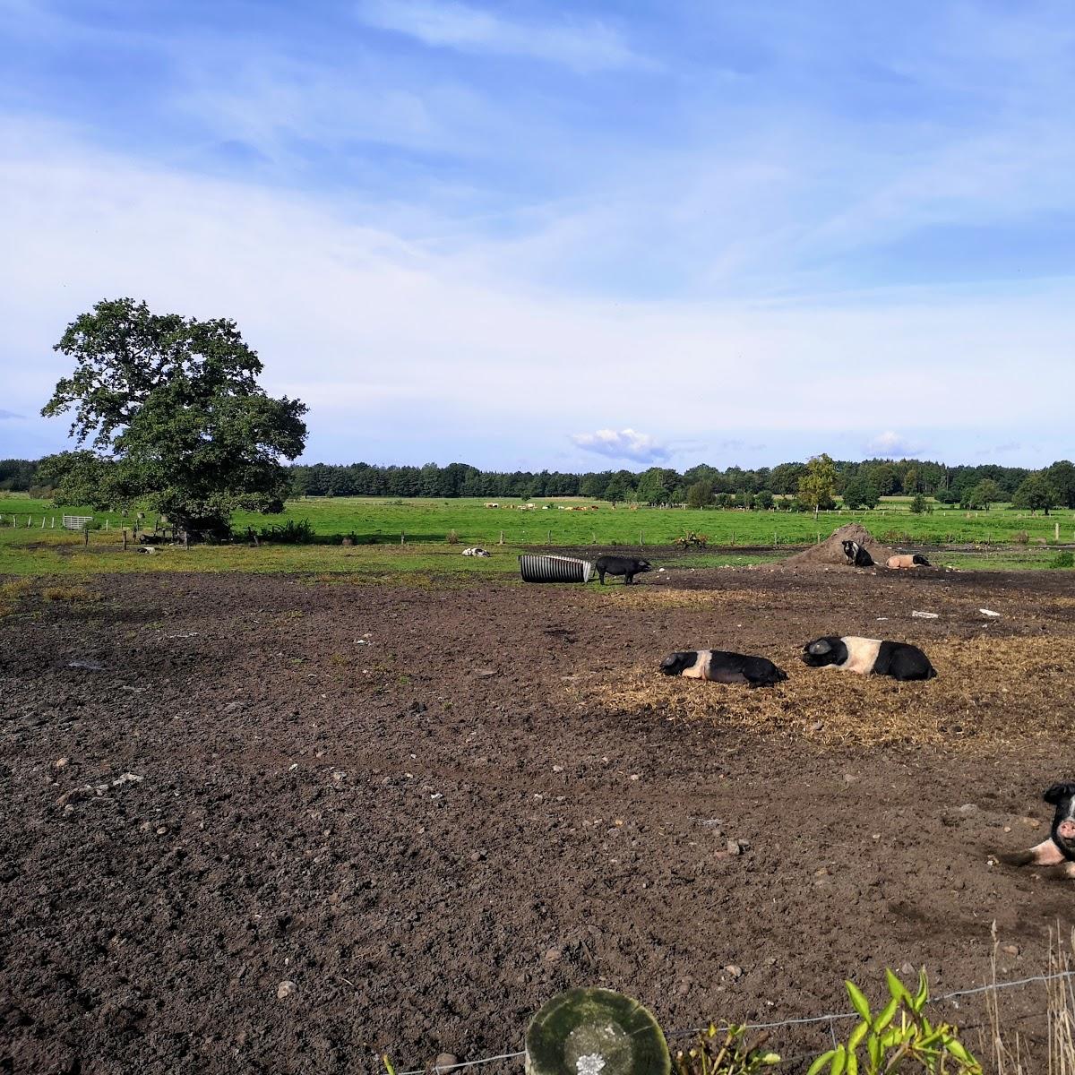 Restaurant "Westphal Holger Freesmann Tatjana" in Rickling