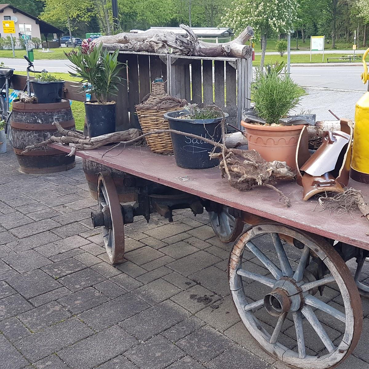 Restaurant "Hüttendorf 49gradnord" in Bayerisch Eisenstein