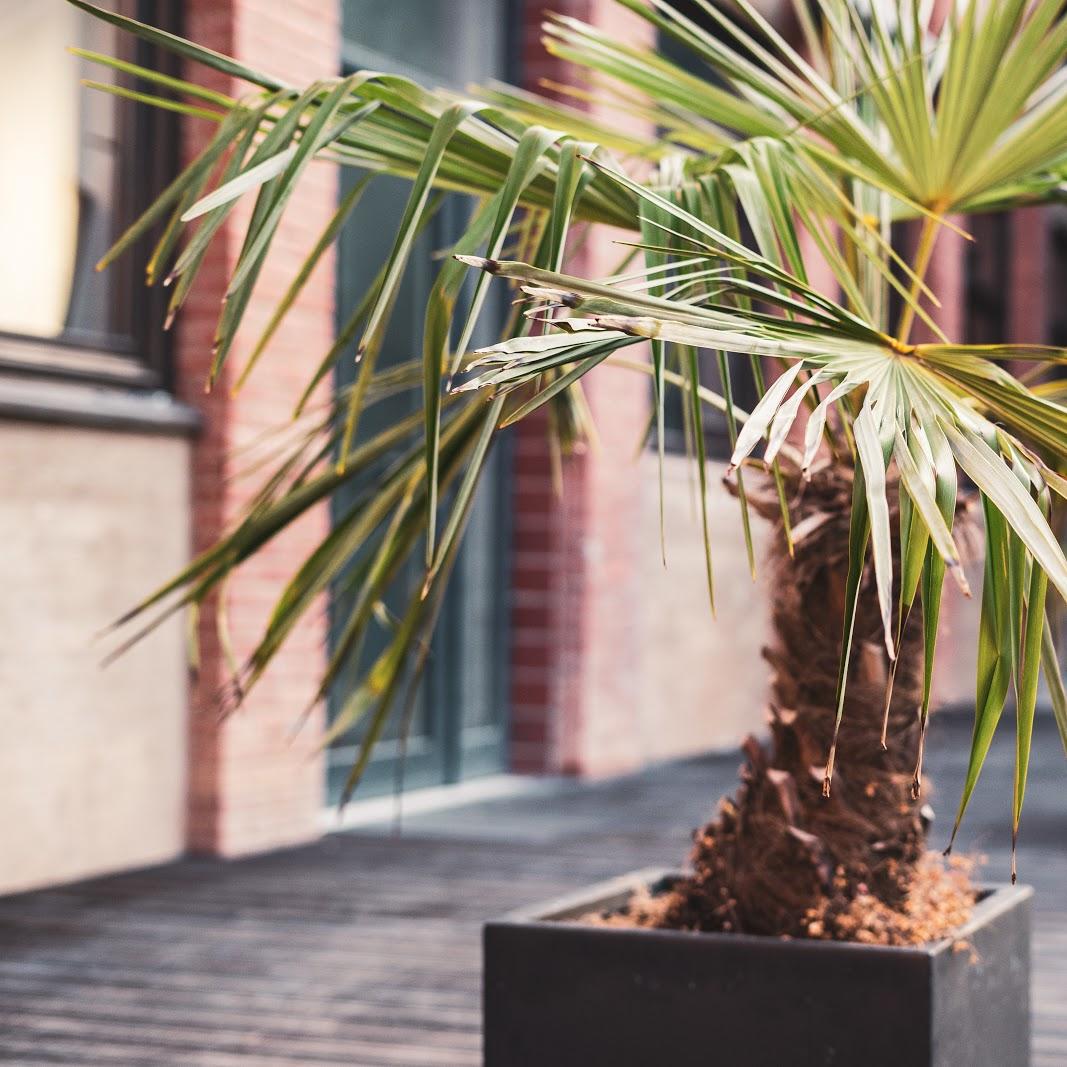 Restaurant "little mogli