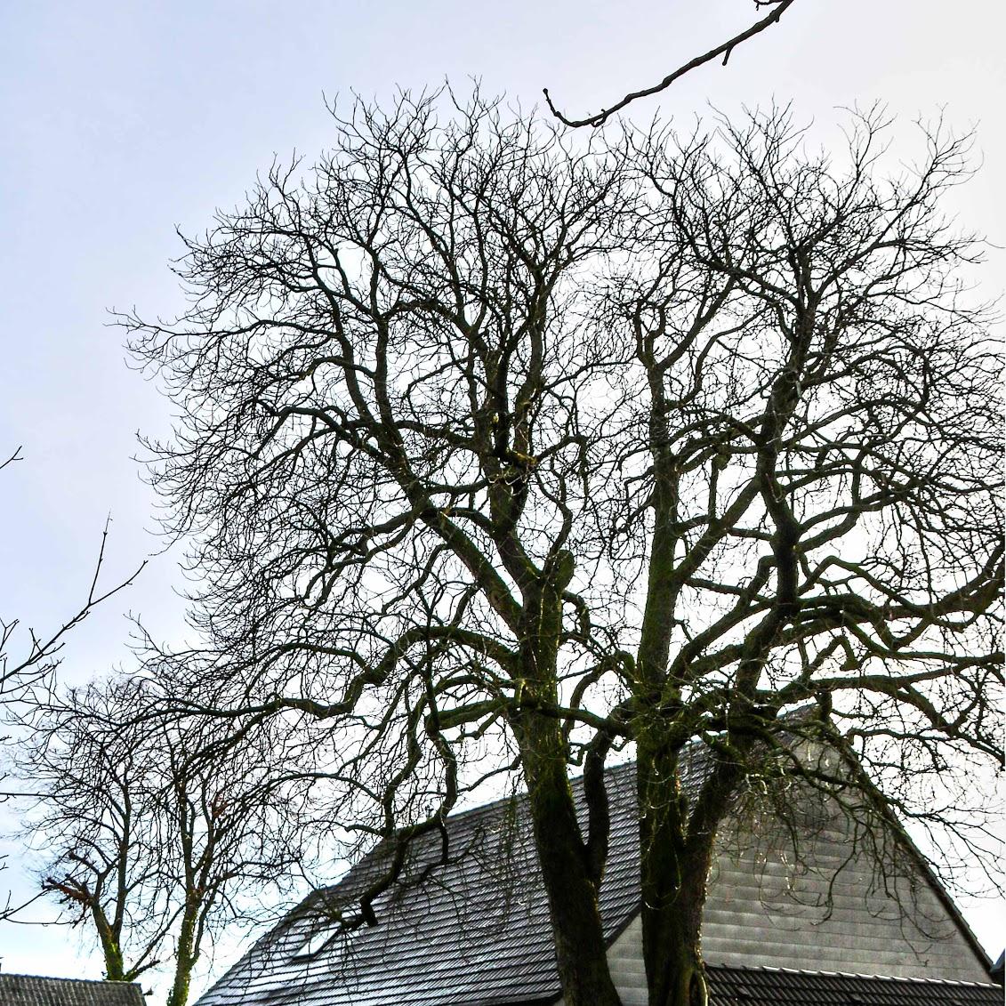 Restaurant "F. Ziegler Gasthof" in Lippetal