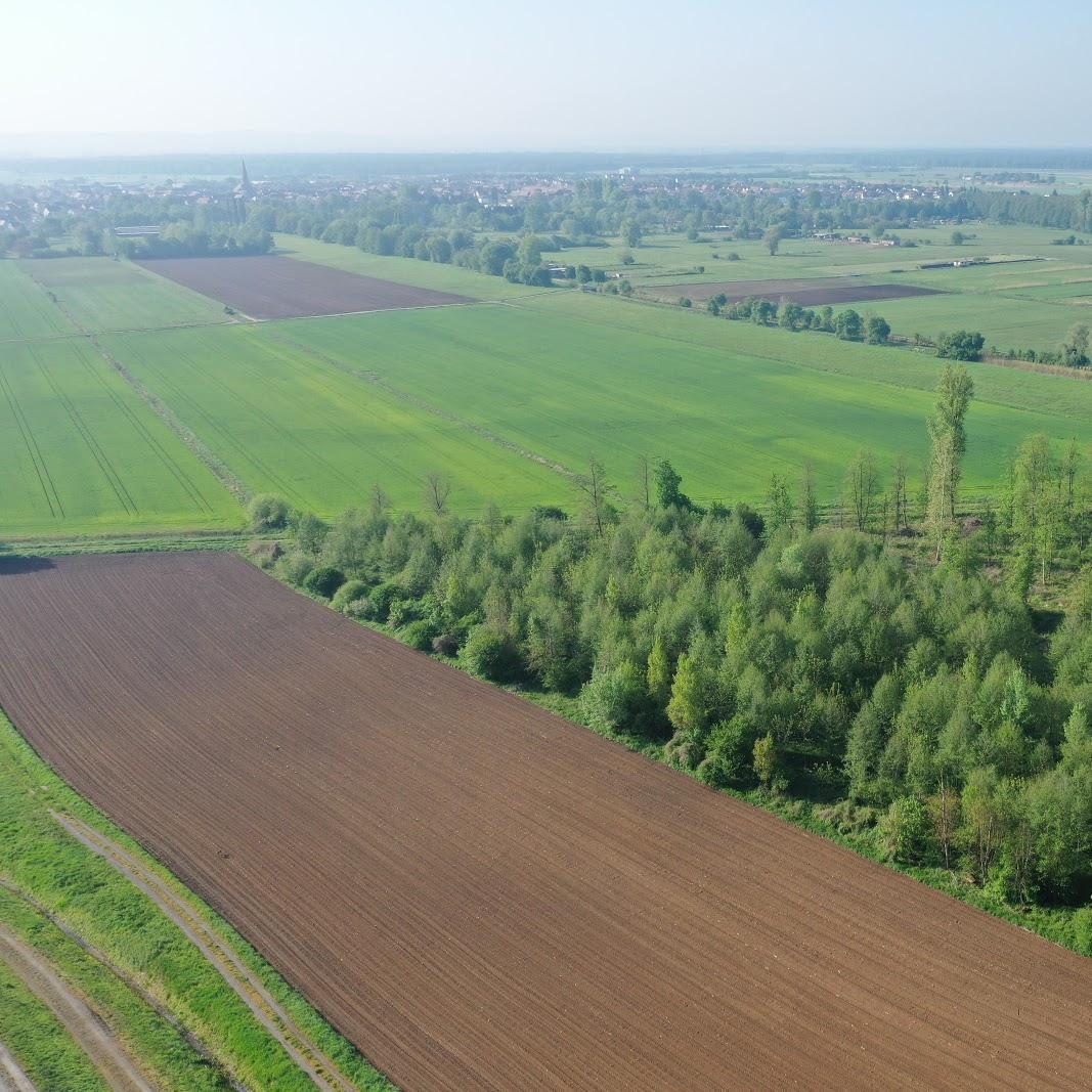Restaurant "Binsenhütte Eintracht Graben" in Graben-Neudorf