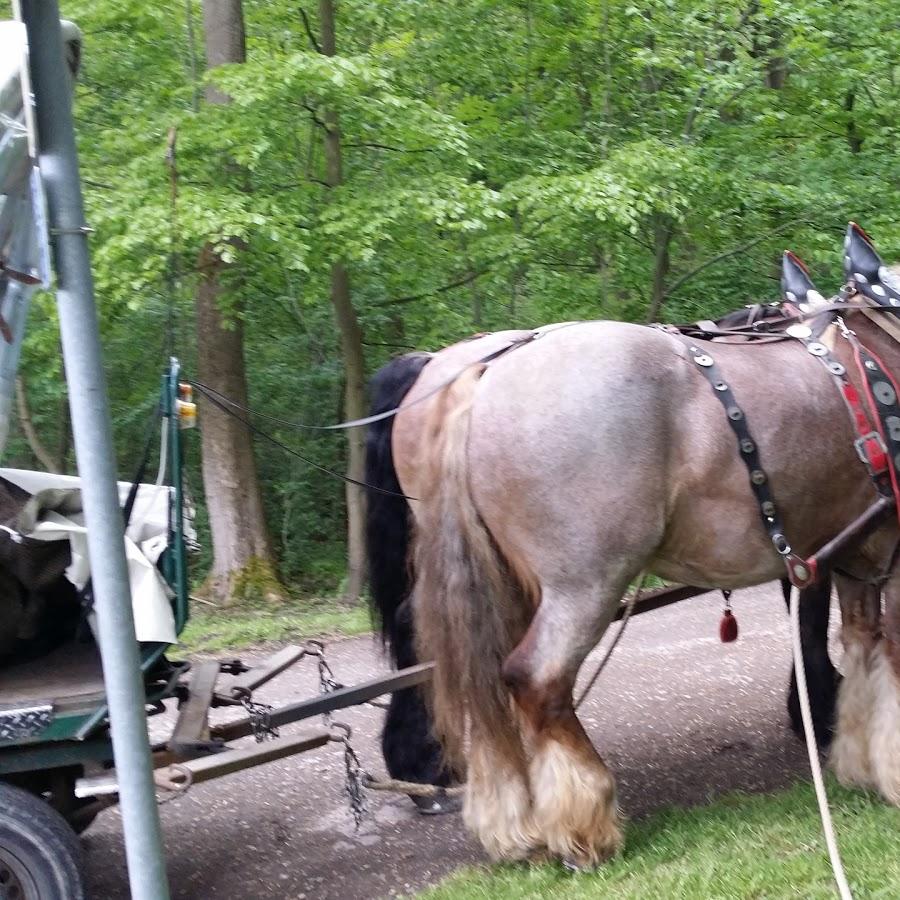 Restaurant "Bolfriana-Luisenthal UG" in Ohrdruf