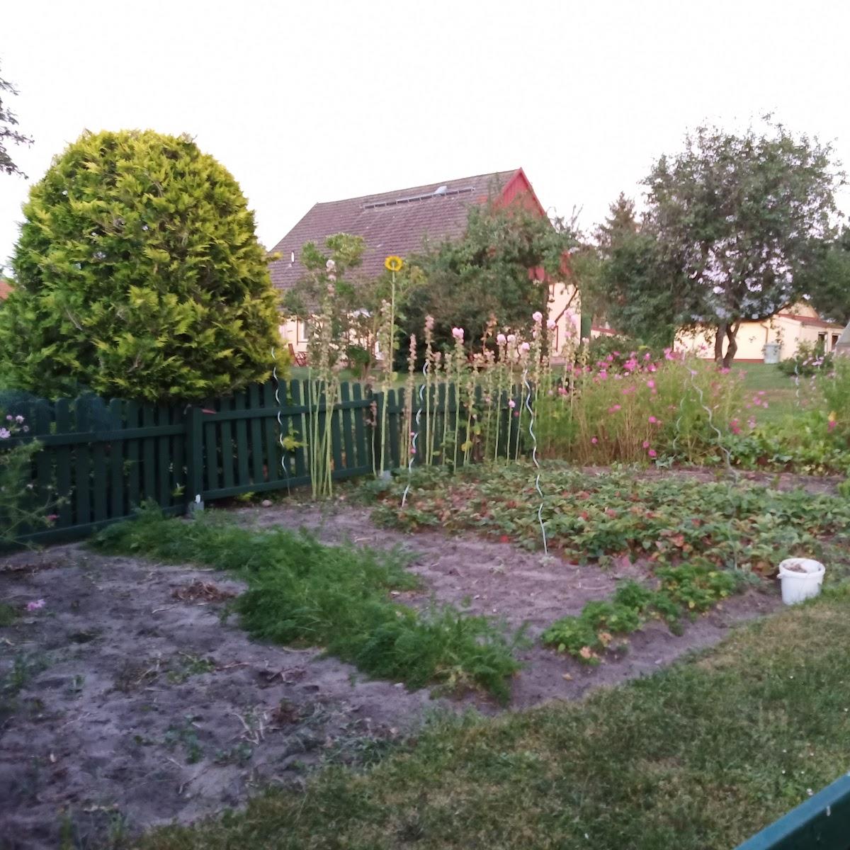 Restaurant "Ferienanlage Doll" in Ducherow