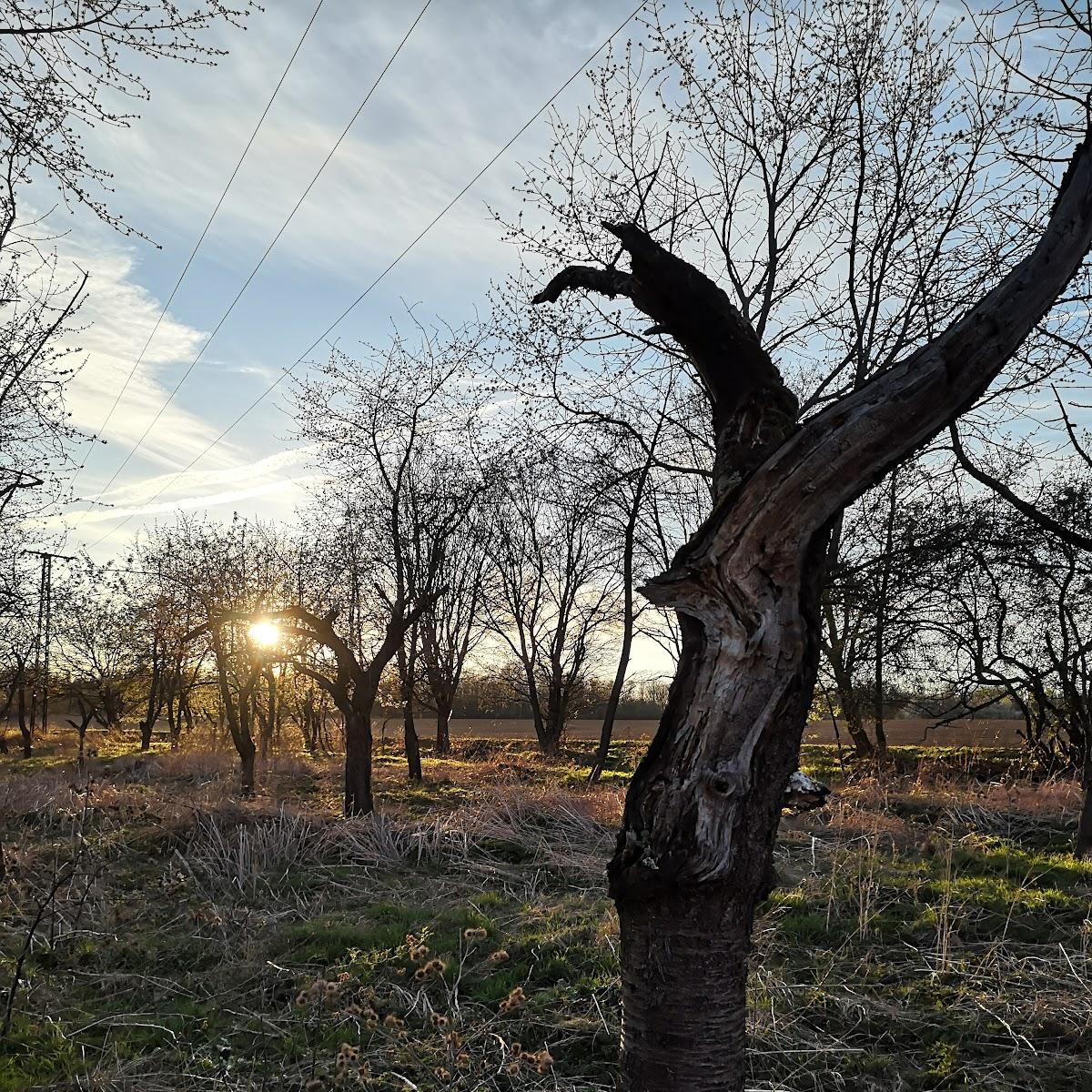 Restaurant "Zur Katze" in Naumburg (Saale)