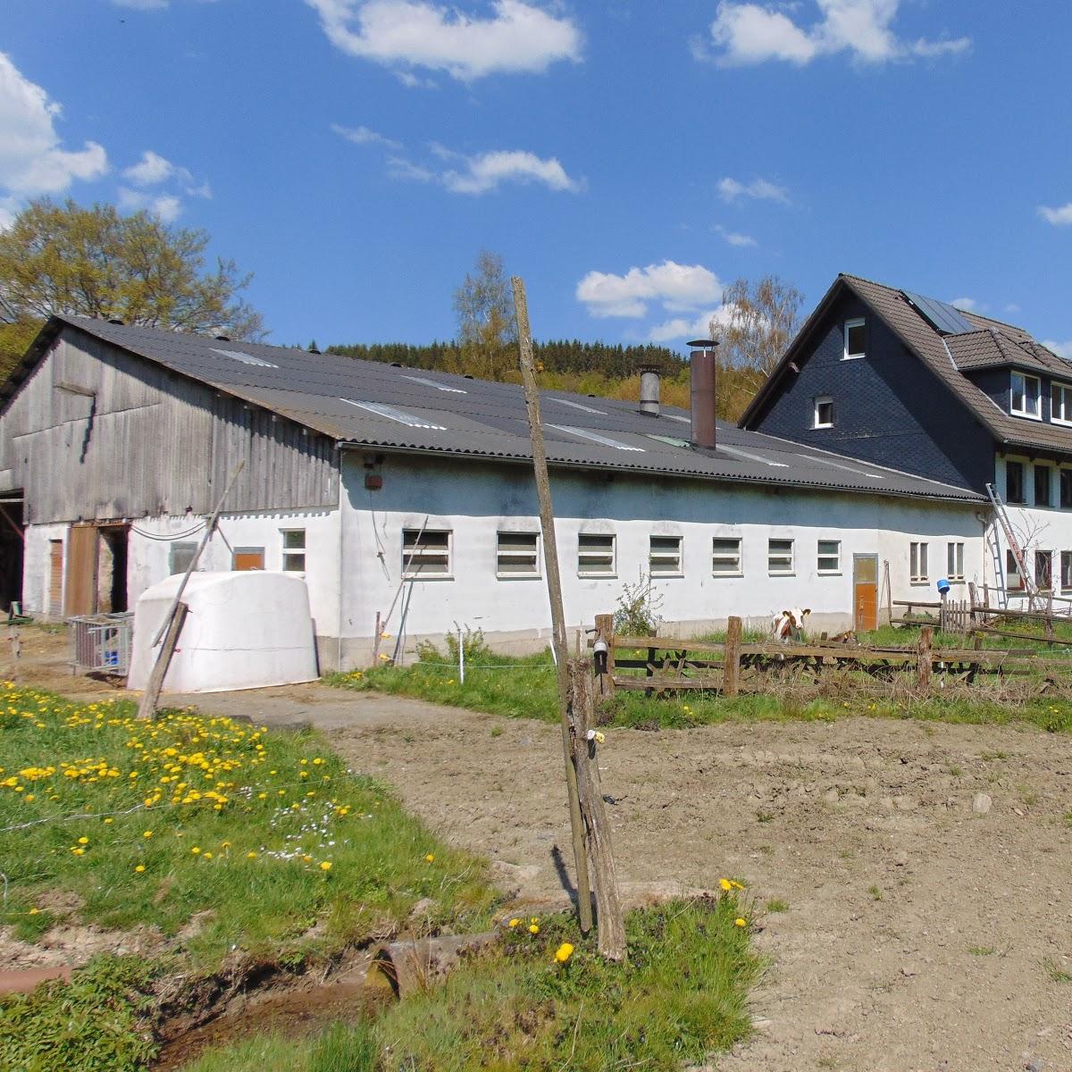 Restaurant "Pension Benner" in Bad Berleburg