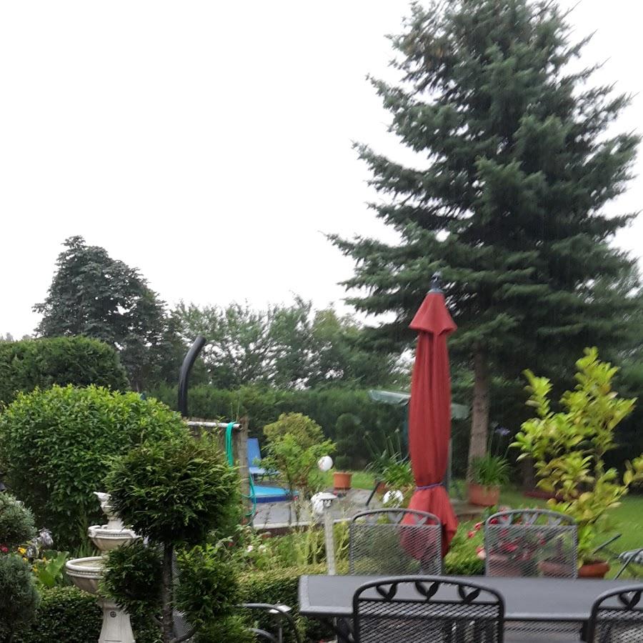 Restaurant "sheep shop" in Quedlinburg