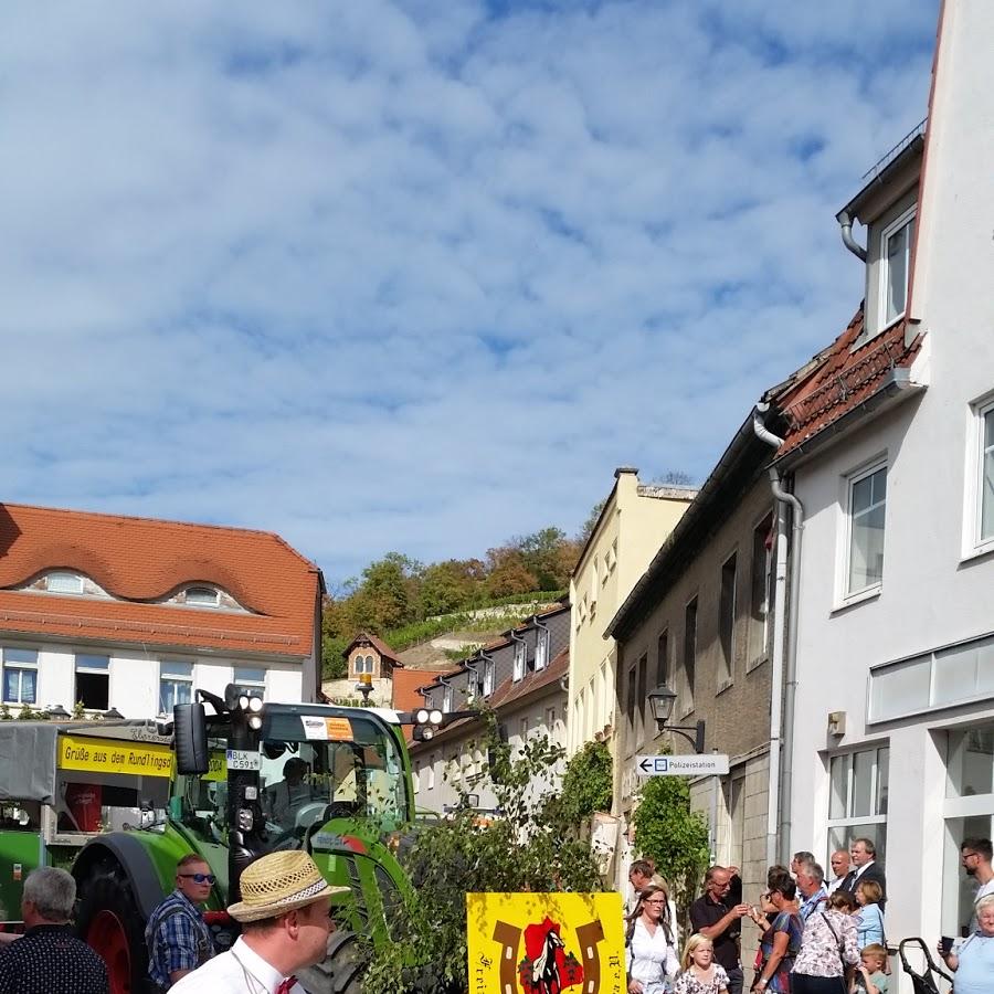 Restaurant "Pizzeria Freyburg" in Freyburg (Unstrut)