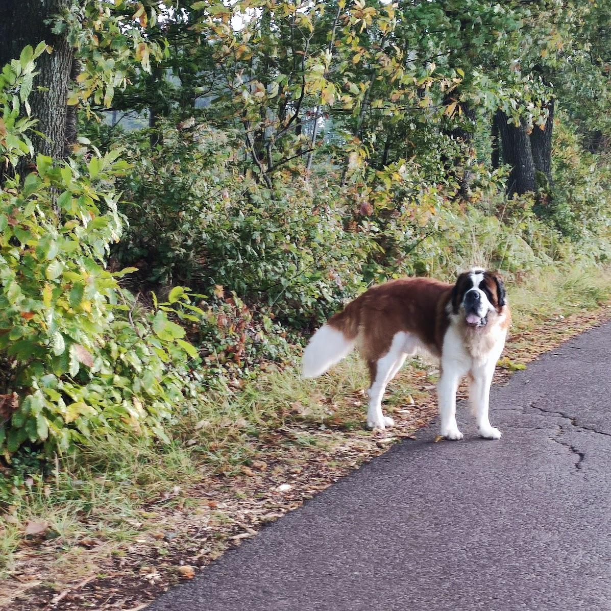 Restaurant "Habach Bürger Haus" in Eppelborn