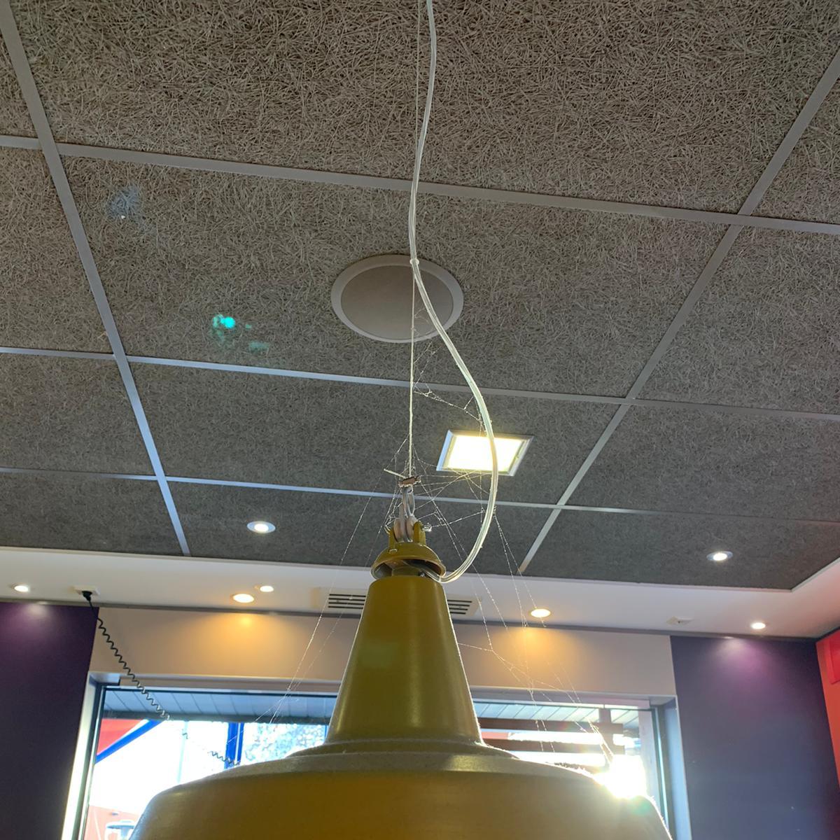 Restaurant "Stumpen Gastro KG" in Breisach am Rhein