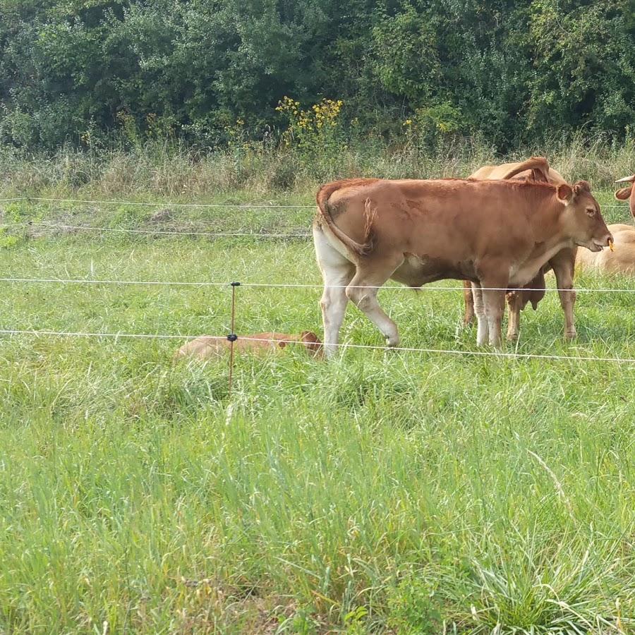 Restaurant "Zum Blütental" in Merzig