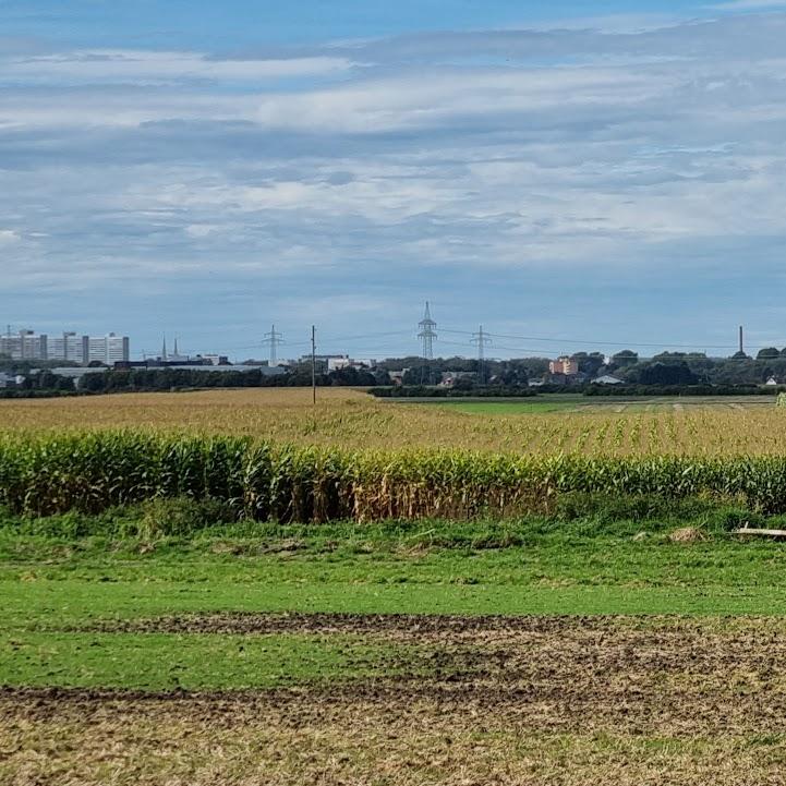 Restaurant "Sportgaststätte Wulfertshausen" in Friedberg