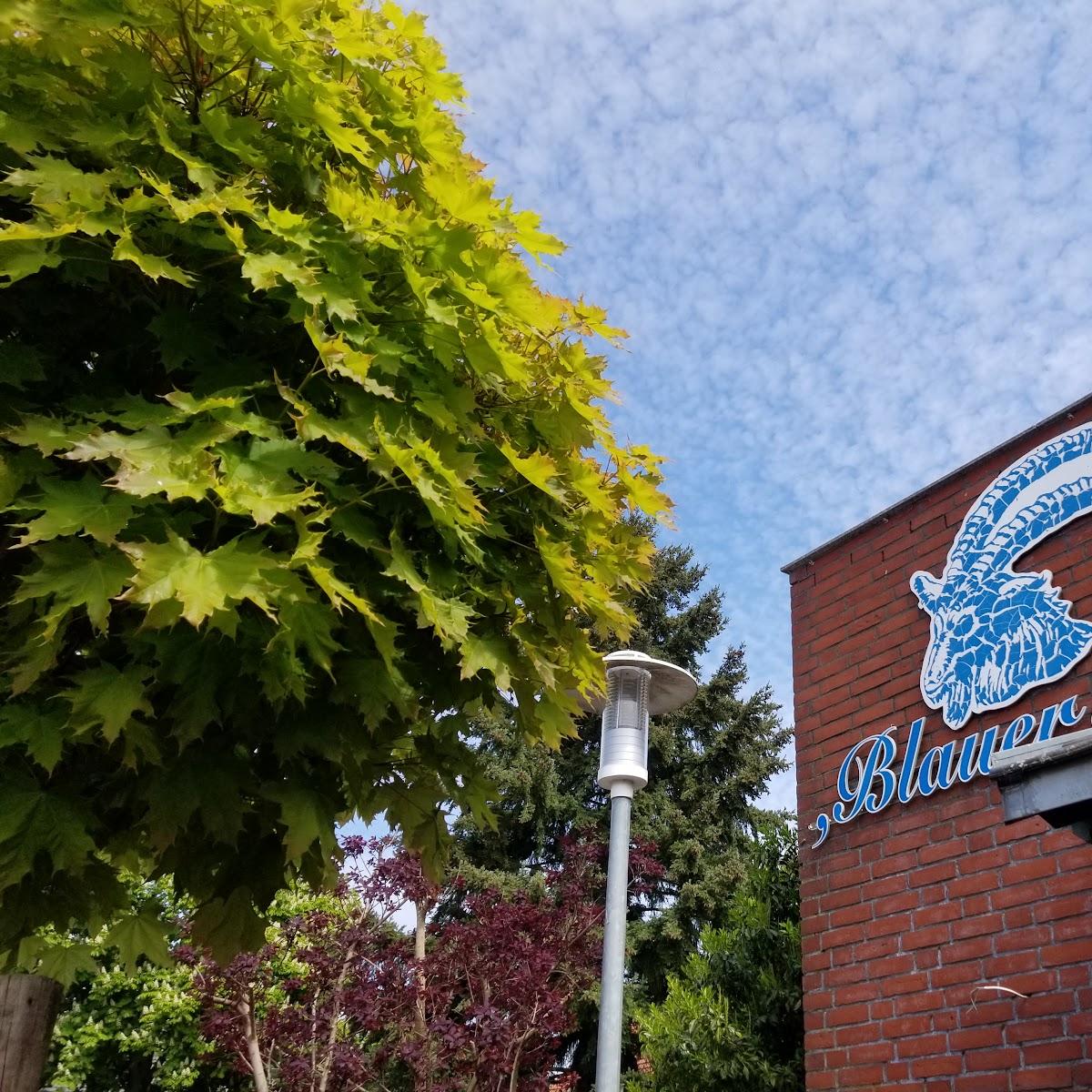 Restaurant "Gaststätte Blauer Bock" in Dabel