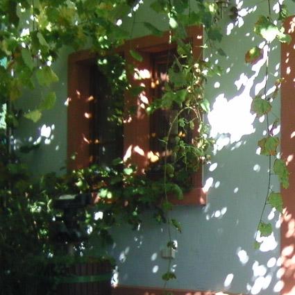 Restaurant "Weinhaus und Ferienwohnungen Eicher" in Alsheim