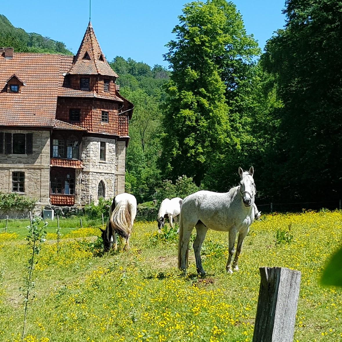 Restaurant "Andreas von Scharfenberg" in Wanfried