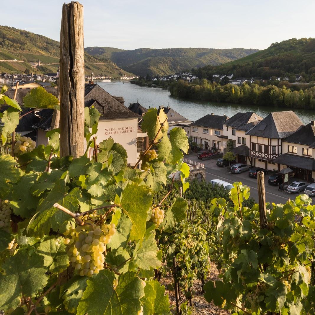Restaurant "Hotel Garni  Café im Hamm " in Zell (Mosel)